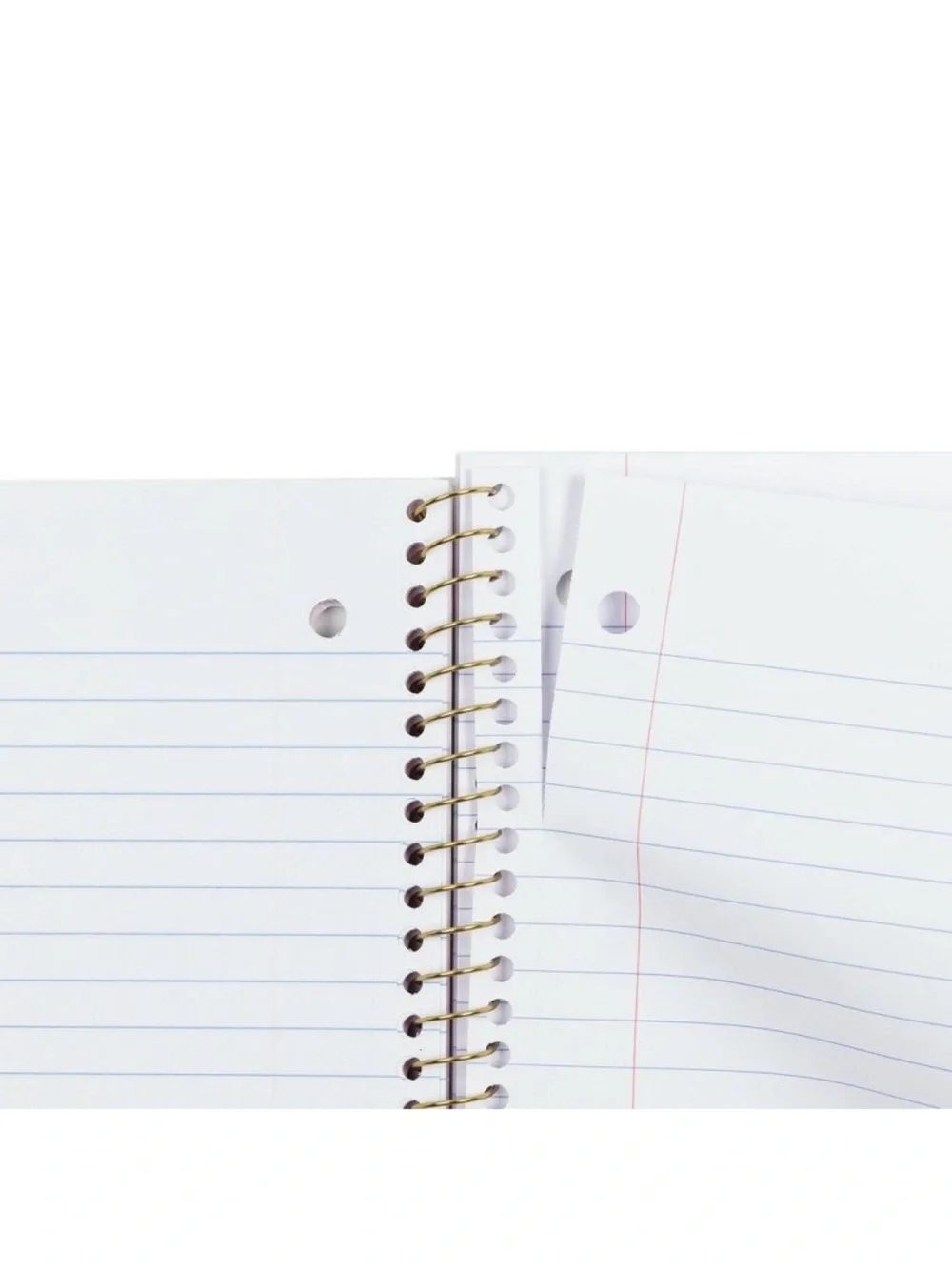 LoveShackFancy Rose Notebook
